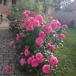 Rose Garden Mezzanine Bed & Breakfast