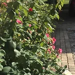 Bed & Breakfast Rose Garden Mezzanine Giverny
