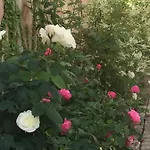 Rose Garden Mezzanine Bed & Breakfast 3*