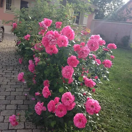Rose Garden Mezzanine Bed and breakfast