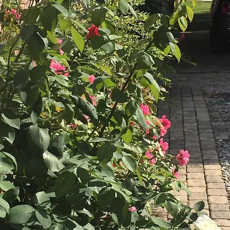 Bed and breakfast Rose Garden Mezzanine Giverny