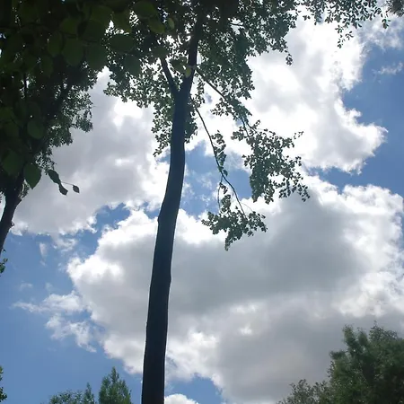 B&B Rose Garden Mezzanine 지베르니