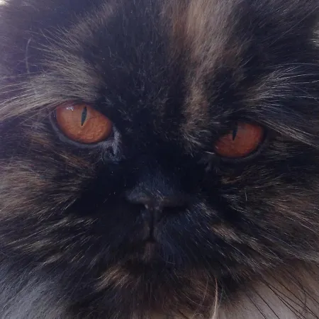 Rose Garden Mezzanine 3* Giverny