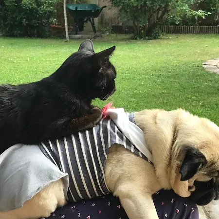 Rose Garden Mezzanine B&B 3*