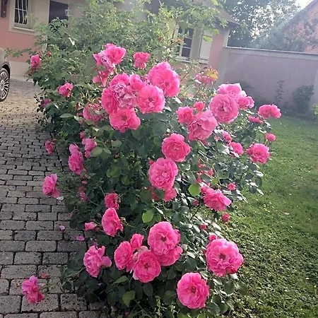 Rose Garden Mezzanine 3*