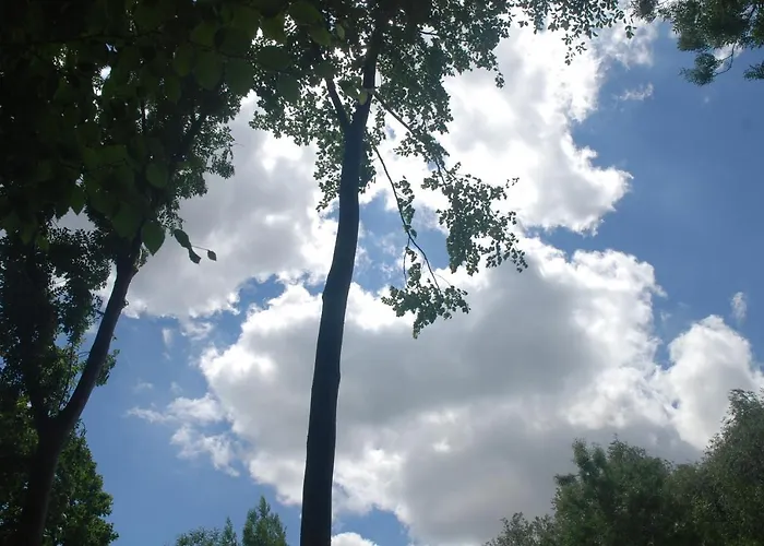 Couette-café Rose Garden Mezzanine Giverny