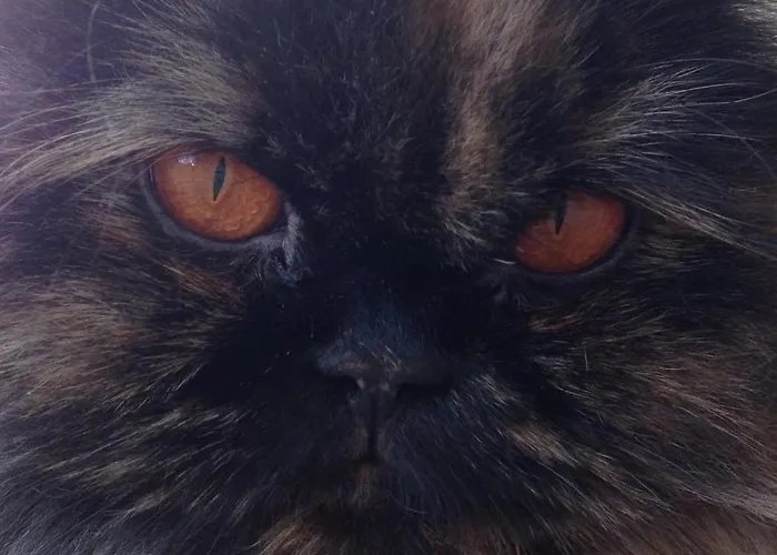 Rose Garden Mezzanine 3* Giverny